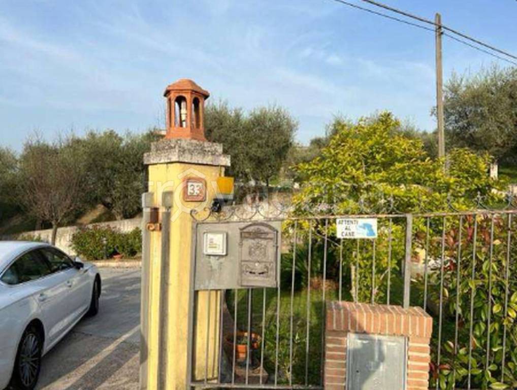 immagine annuncio 11 di 12