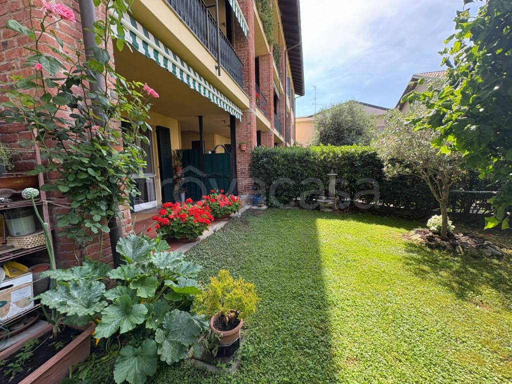 immagine annuncio 6 di 15