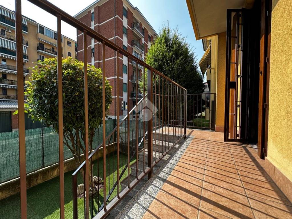 immagine annuncio 13 di 15