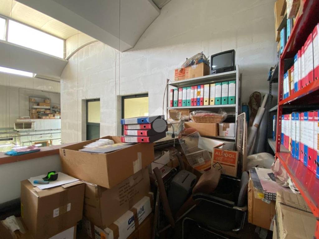 immagine annuncio 10 di 15