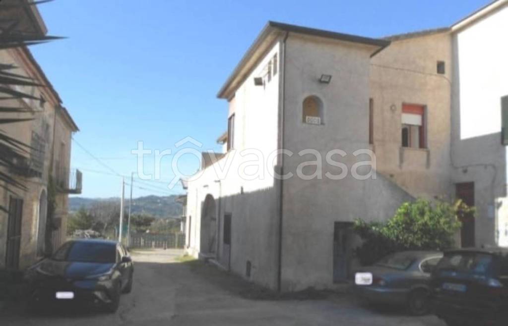 immagine annuncio 3 di 14