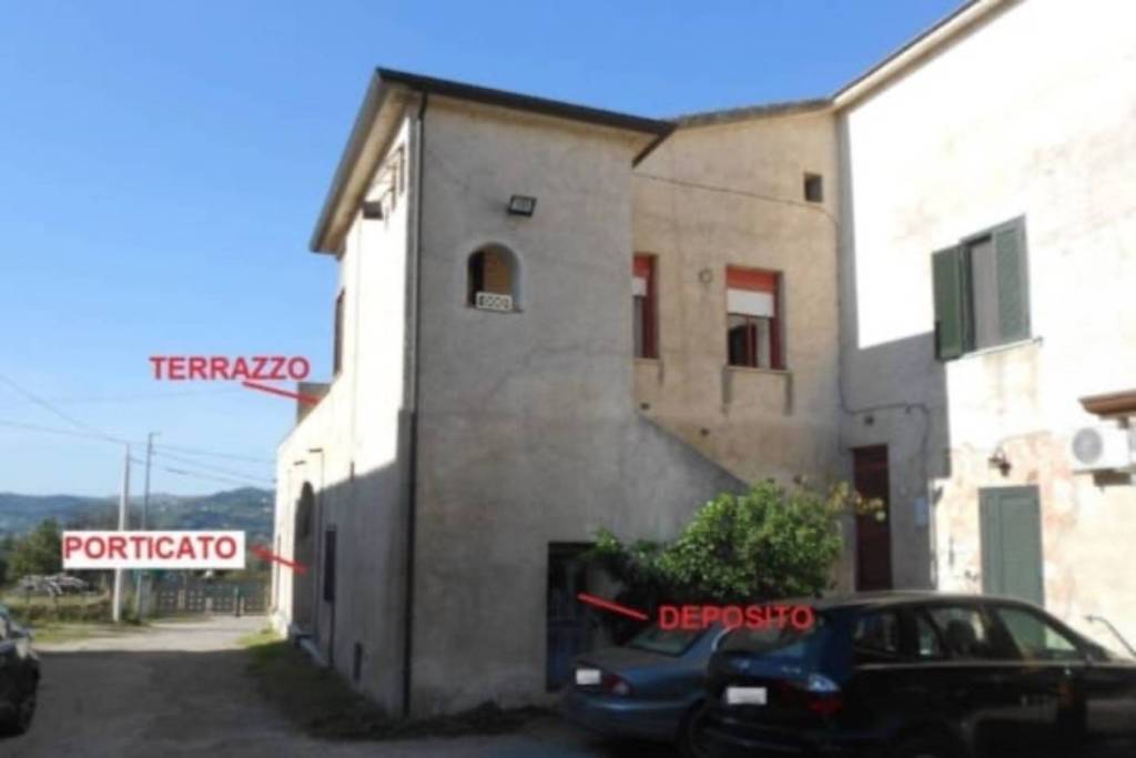immagine annuncio 5 di 14
