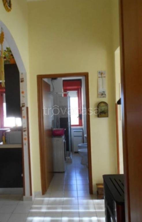 immagine annuncio 7 di 14