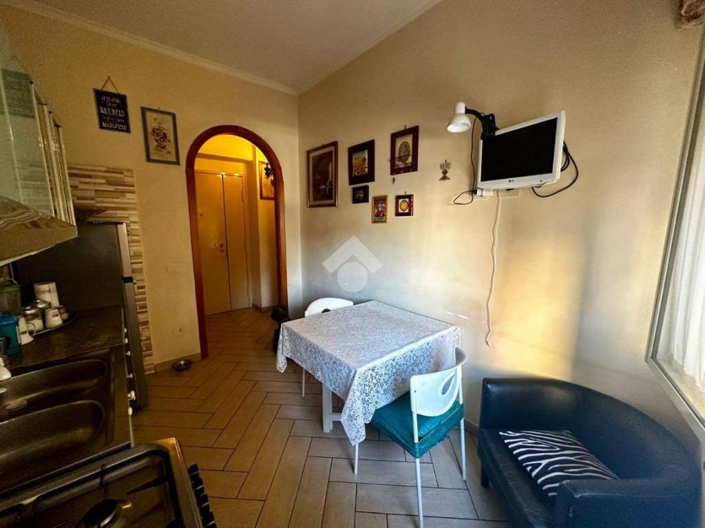 immagine annuncio 3 di 14