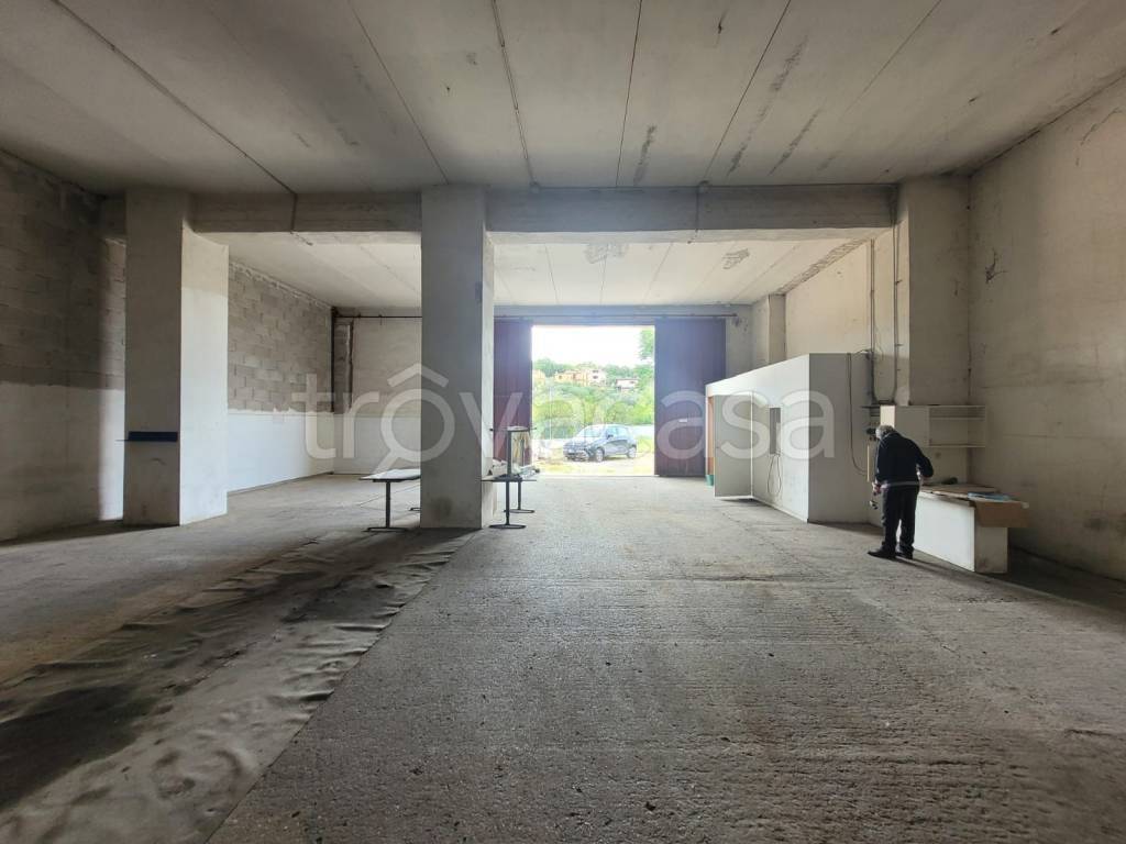 immagine annuncio 9 di 14