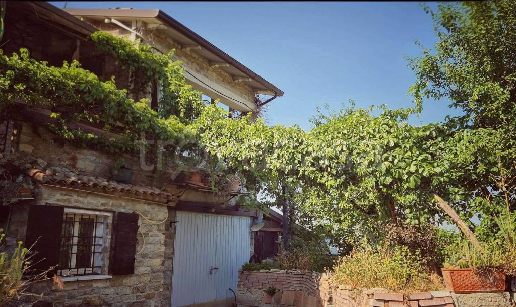 immagine annuncio 11 di 13
