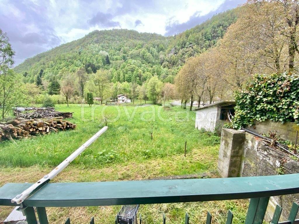 immagine annuncio 10 di 14