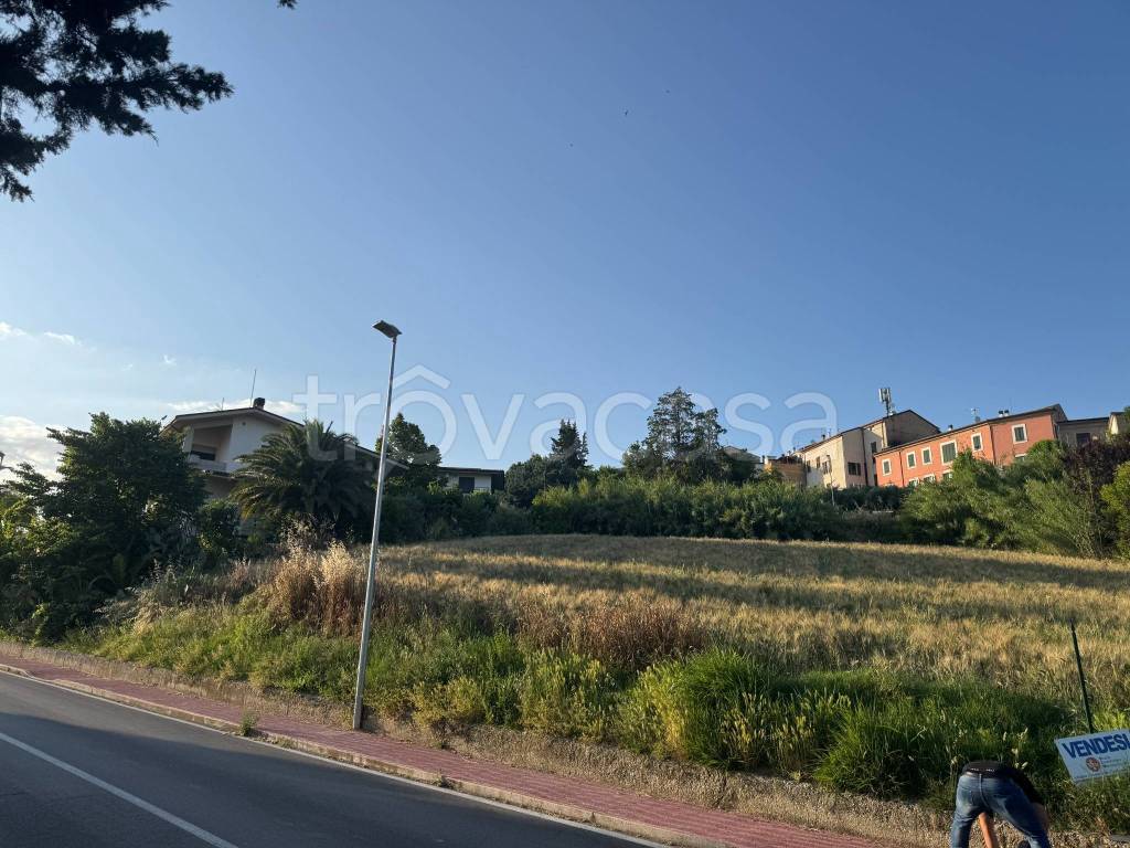 immagine annuncio 5 di 14