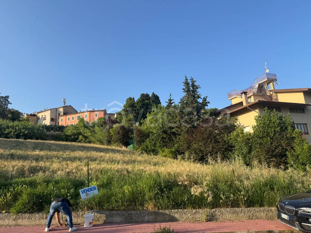 immagine annuncio 6 di 14