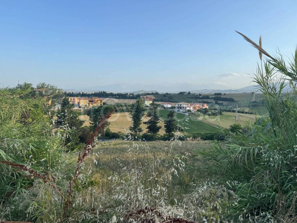 immagine annuncio 7 di 14