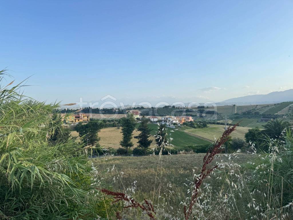 immagine annuncio 8 di 14