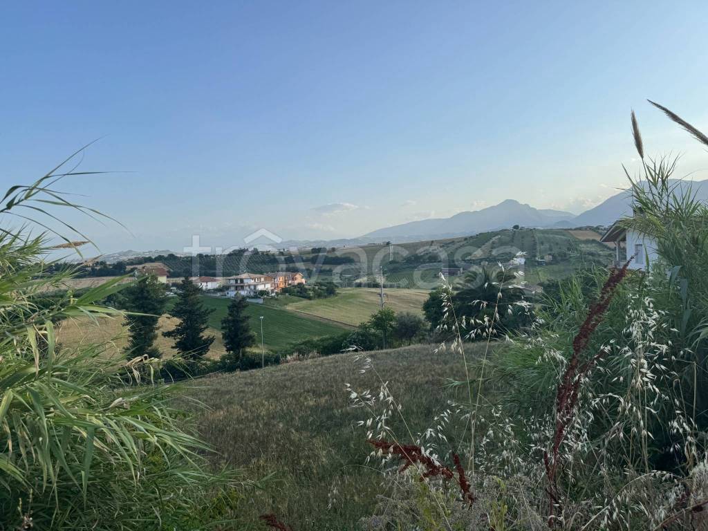 immagine annuncio 10 di 14