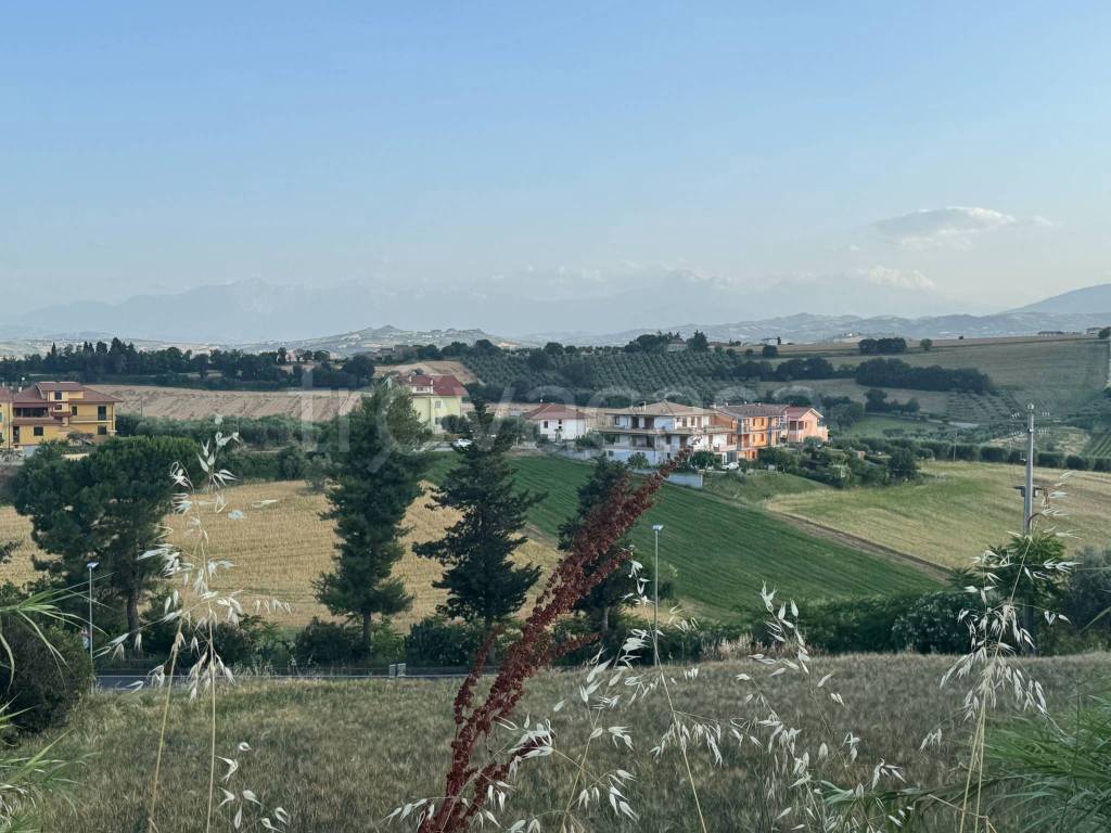 immagine annuncio 11 di 14