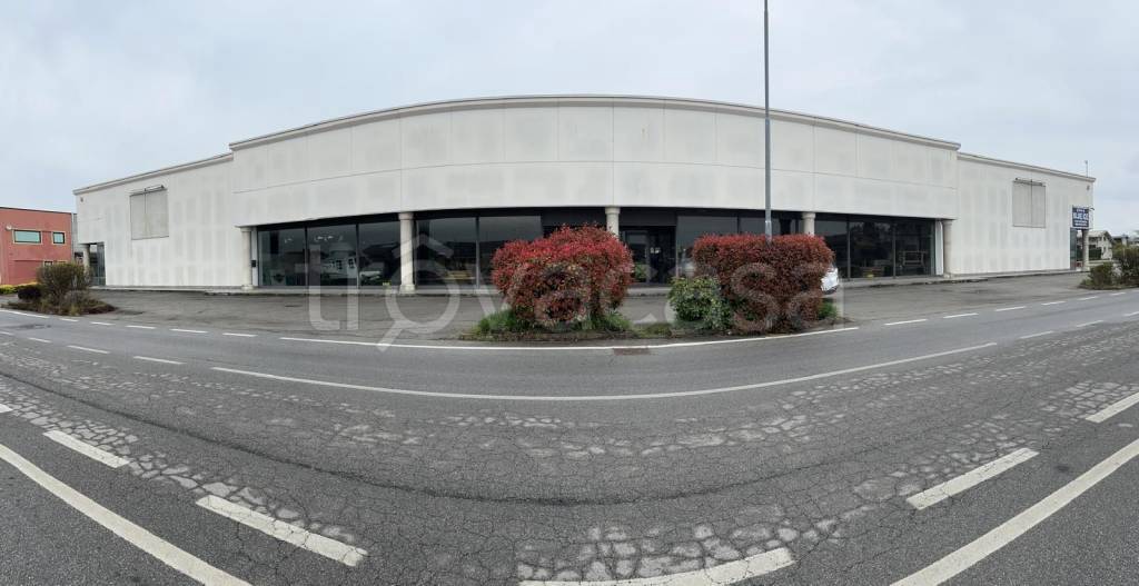 immagine annuncio 10 di 13