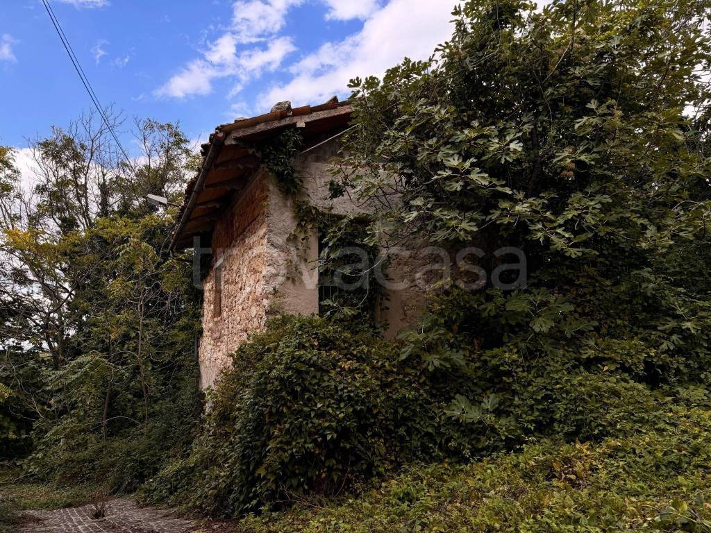 immagine annuncio 7 di 8
