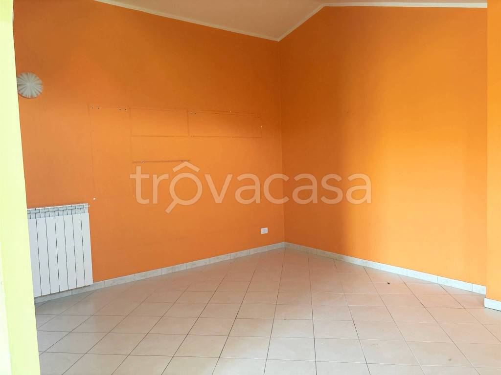 immagine annuncio 3 di 14