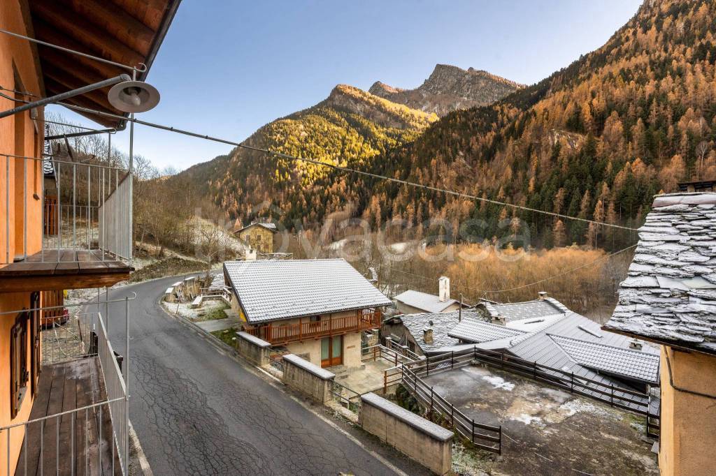 immagine annuncio 11 di 13