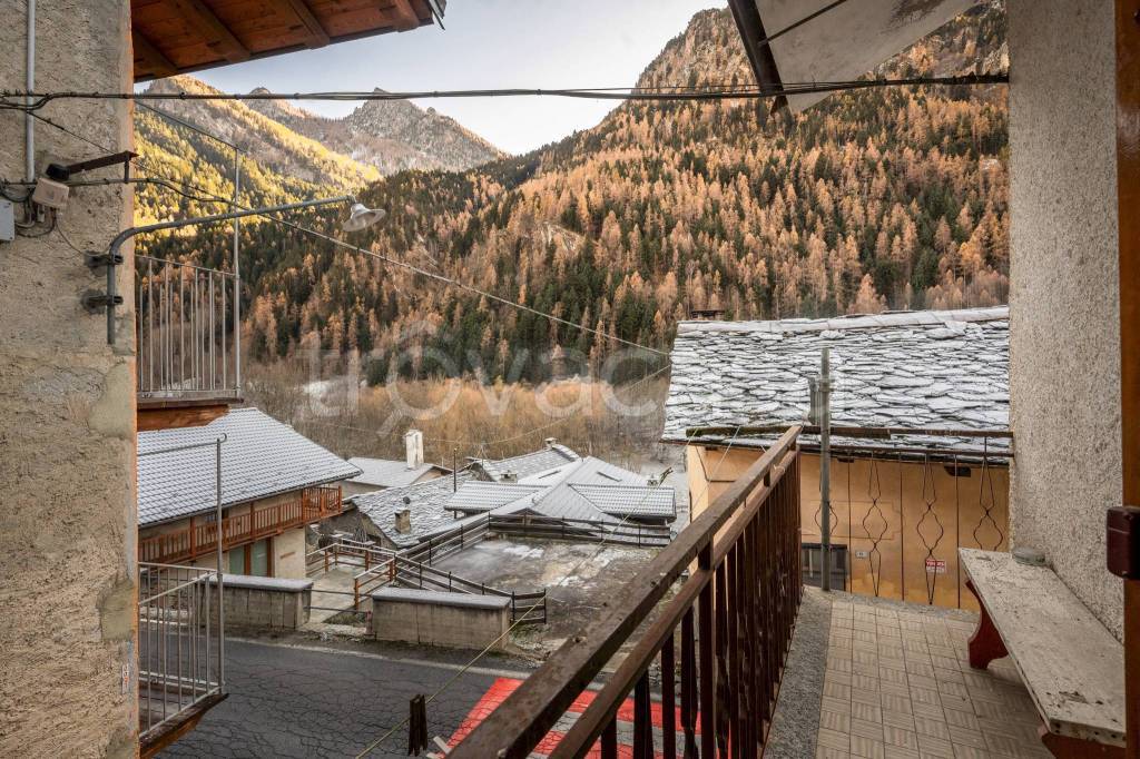 immagine annuncio 12 di 13