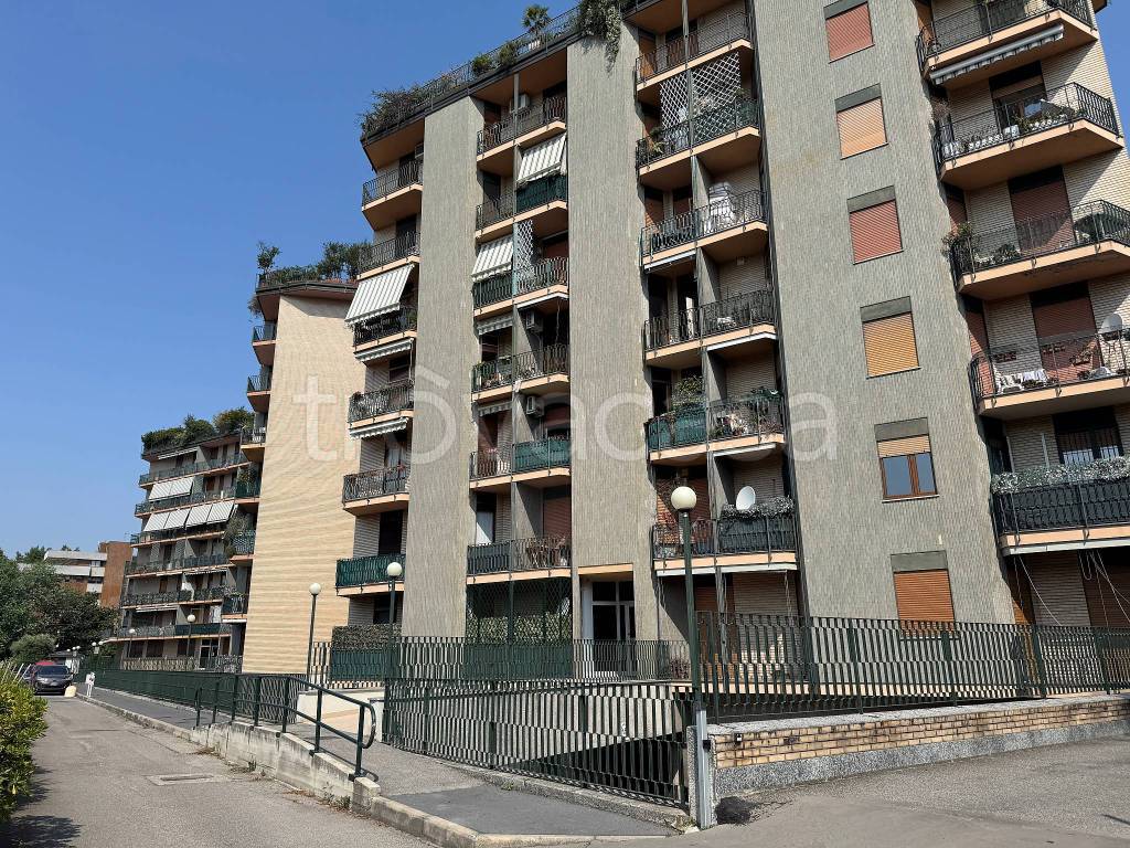 immagine annuncio 6 di 15