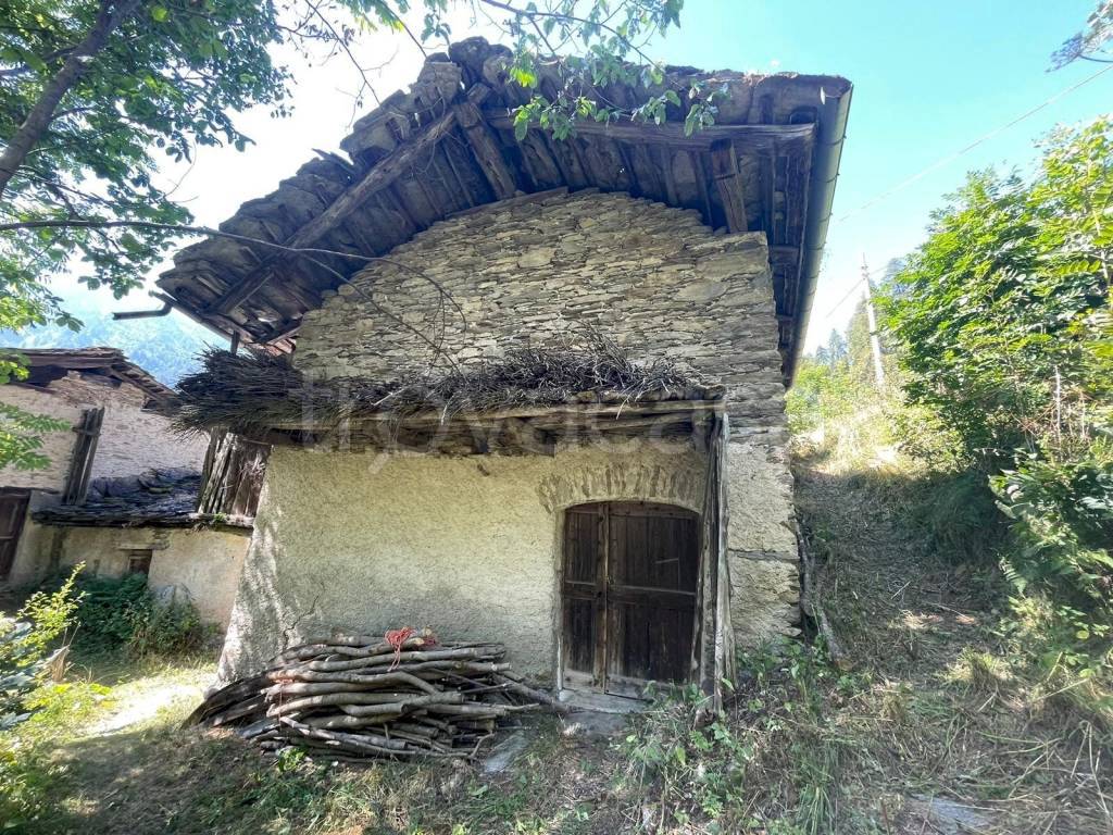 immagine annuncio 3 di 7