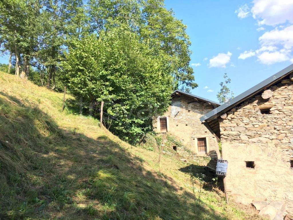 immagine annuncio 1 di 7