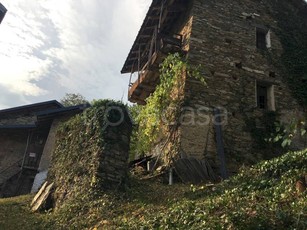 immagine annuncio 5 di 7