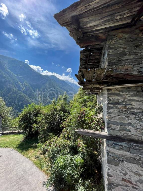 immagine annuncio 8 di 11