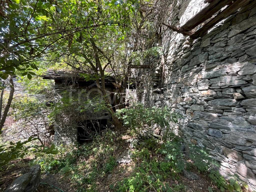 immagine annuncio 10 di 11