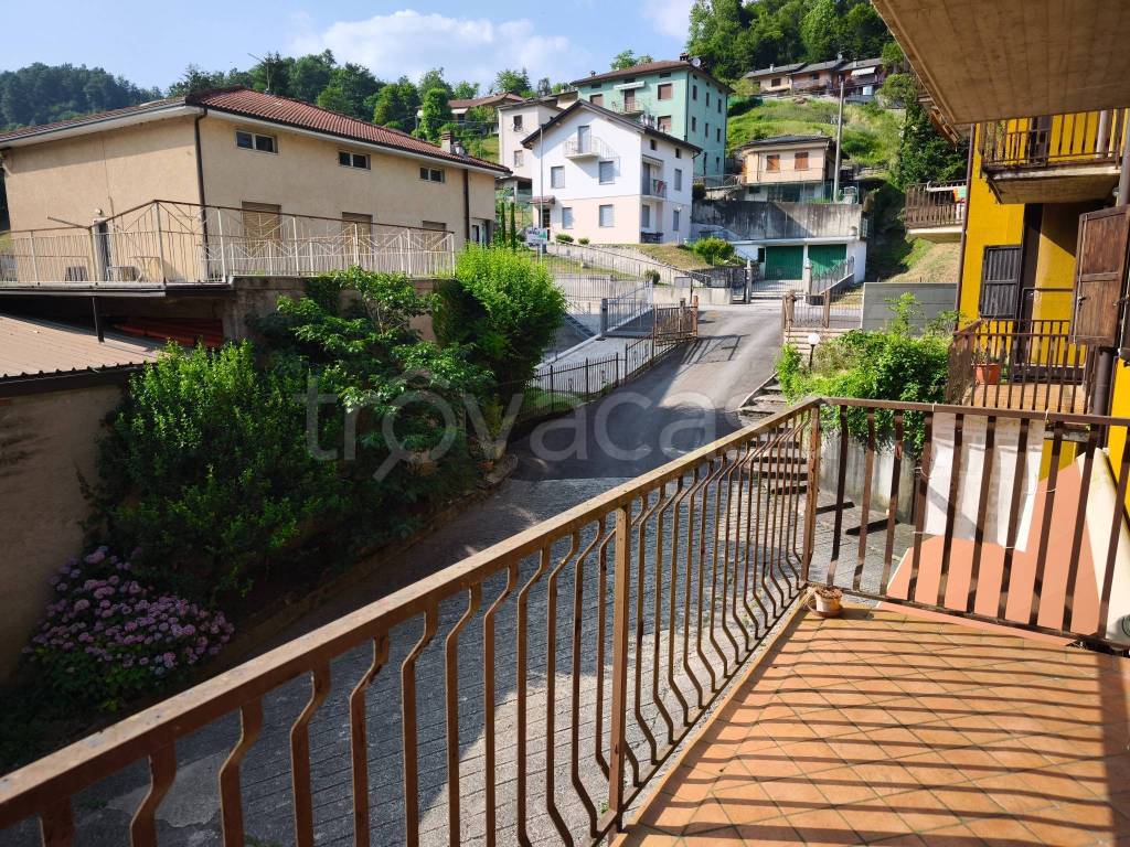 immagine annuncio 9 di 14