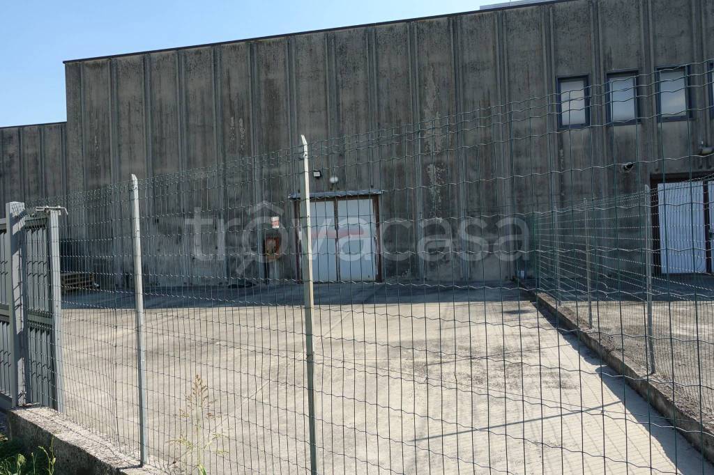 immagine annuncio 2 di 3