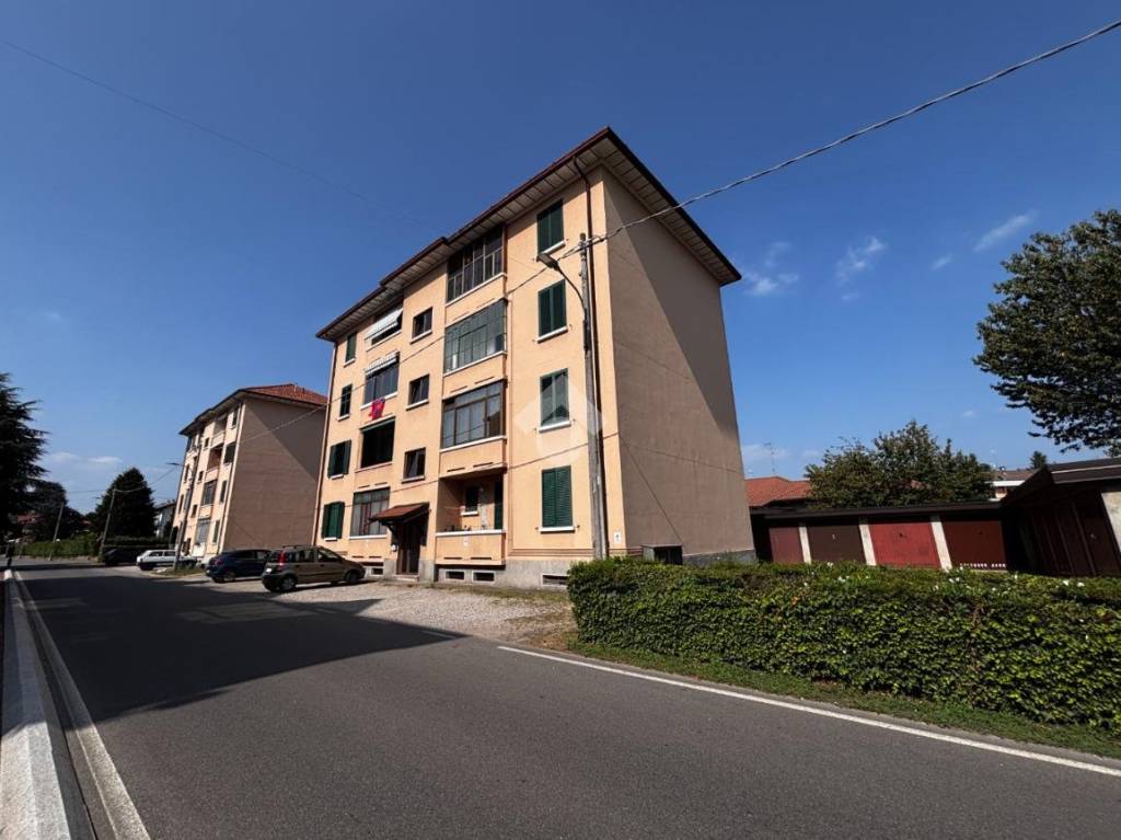 immagine annuncio 1 di 14