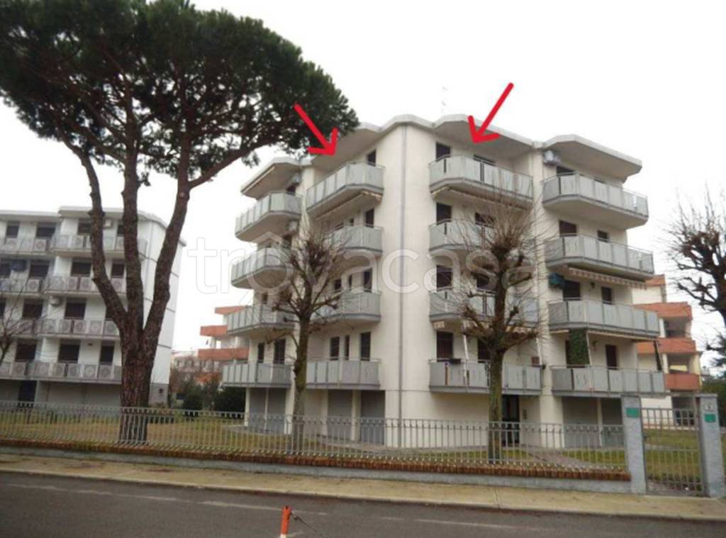 immagine annuncio 11 di 12