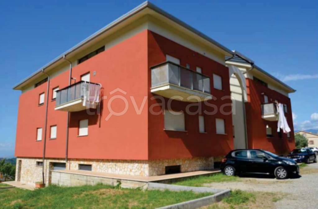 immagine annuncio 9 di 11