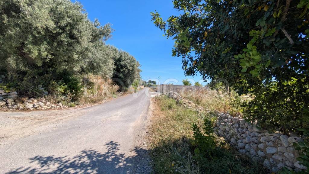 immagine annuncio 8 di 11