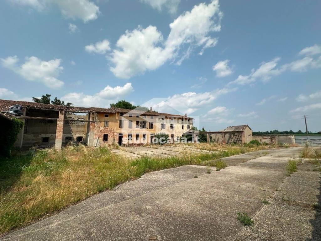 immagine annuncio 2 di 13