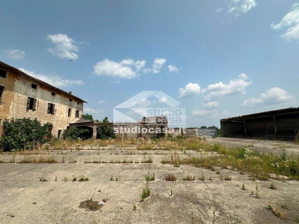 immagine annuncio 3 di 13