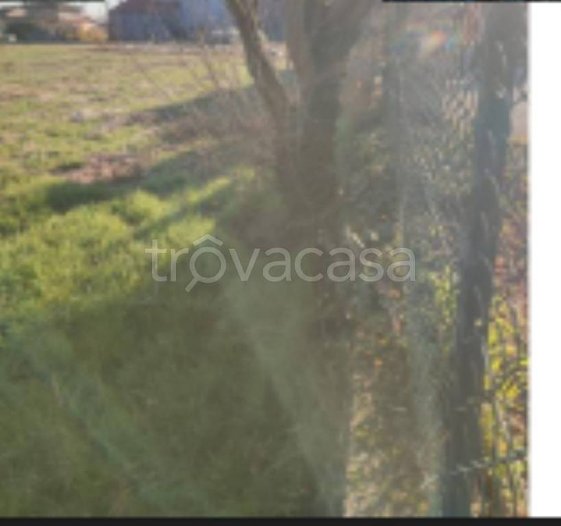 immagine annuncio 7 di 9