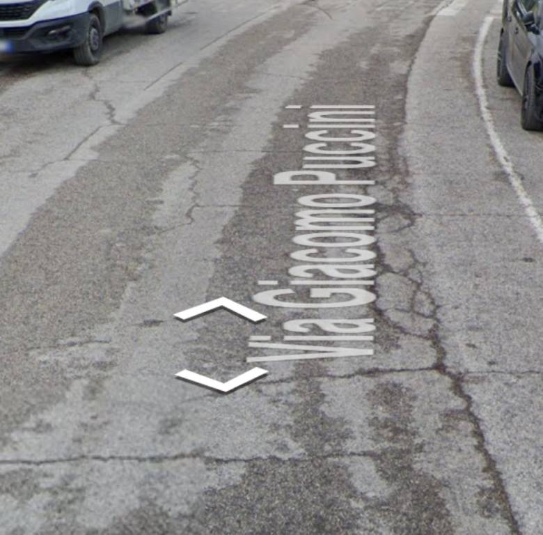 immagine annuncio 2 di 11