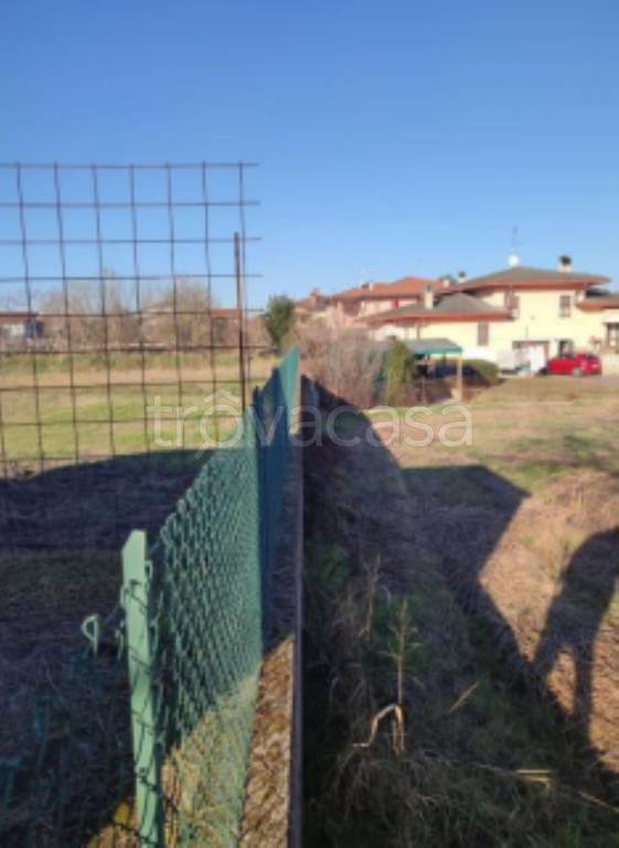 immagine annuncio 5 di 11