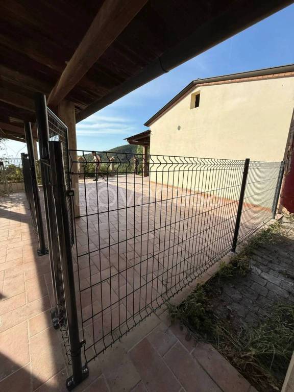 immagine annuncio 10 di 14