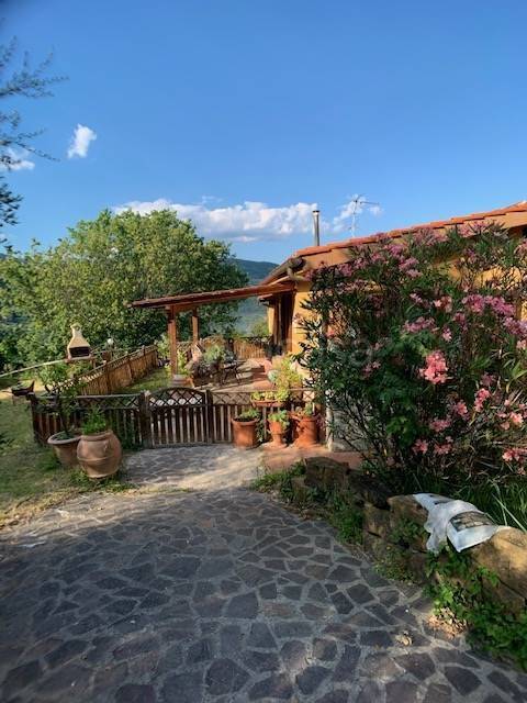 immagine annuncio 3 di 9