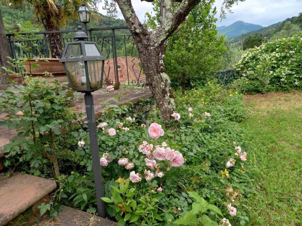 immagine annuncio 3 di 8