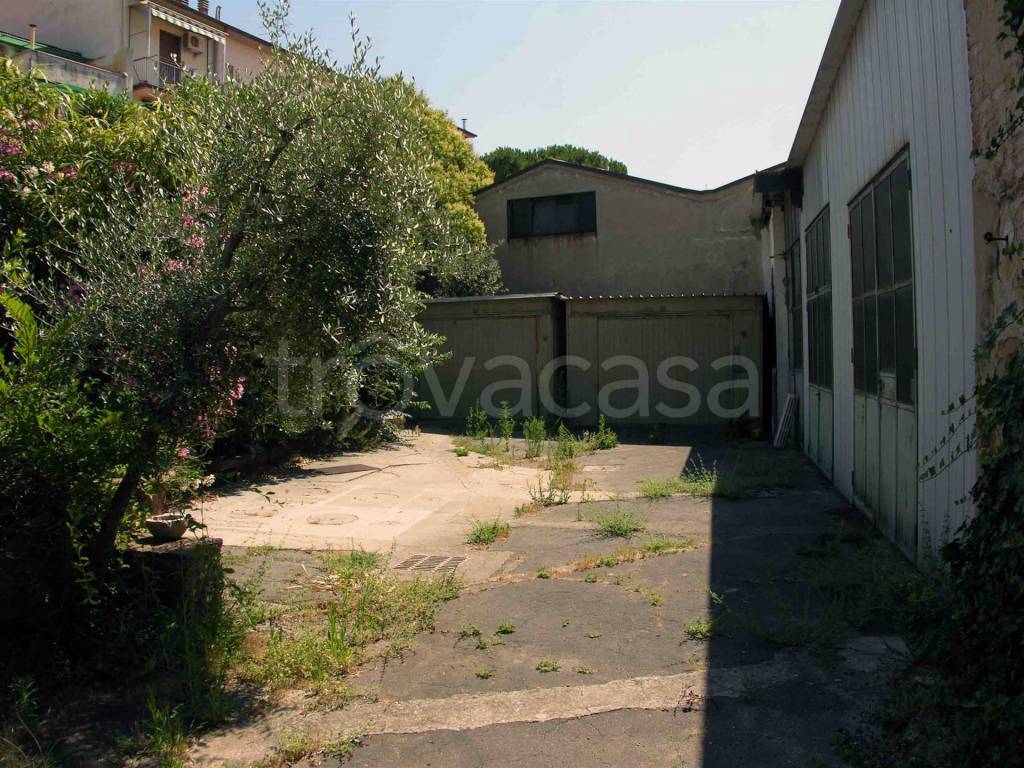 immagine annuncio 5 di 14