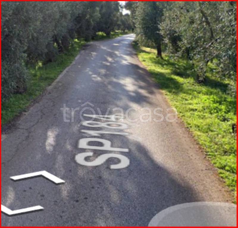 immagine annuncio 4 di 11