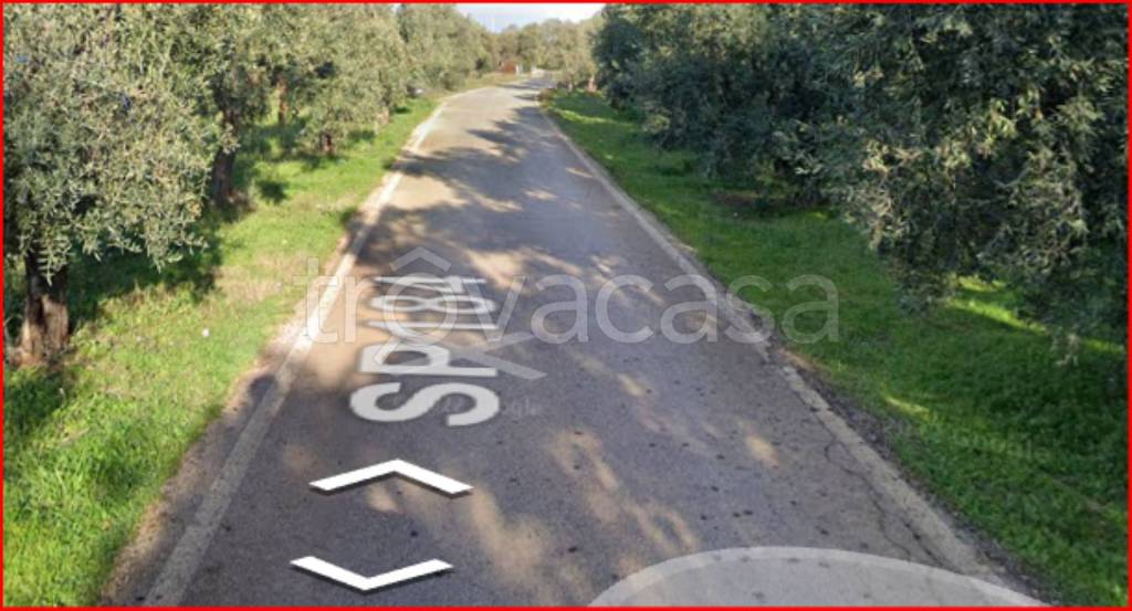 immagine annuncio 7 di 11