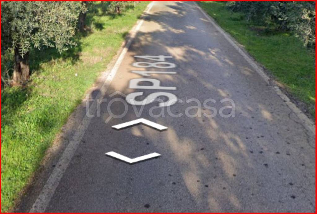 immagine annuncio 8 di 11