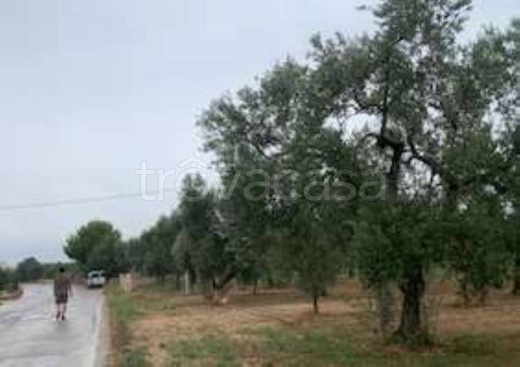immagine annuncio 4 di 11