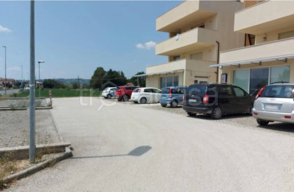 immagine annuncio 4 di 11