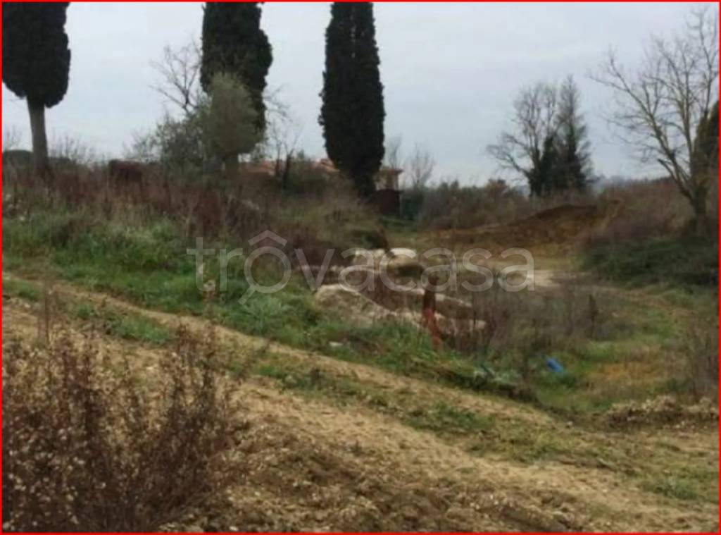 immagine annuncio 6 di 12