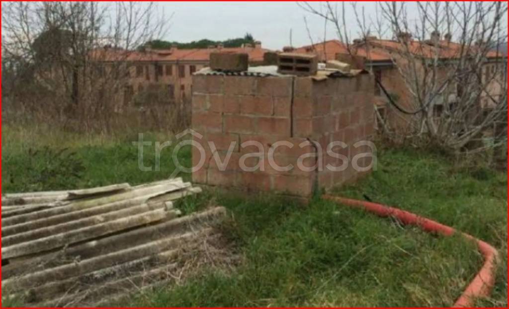 immagine annuncio 9 di 12